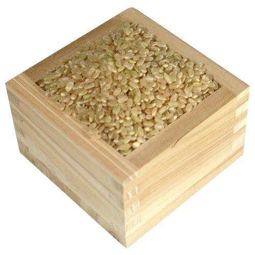 令和7年度産 ヒノヒカリ100% 300g 四万十川のかほり 仁井田米極み 