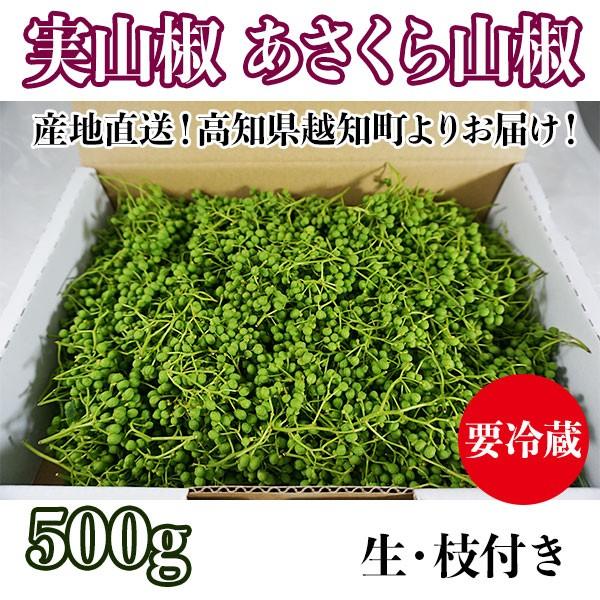 実山椒 あさくら山椒 生 枝付き 朝倉山椒 房付き５００ｇ 山椒の実 青山椒 青実 生山椒 産地直送 高知県産 Mizansyou Asakura500 森徳蔵 Comヤフー店 通販 Yahoo ショッピング