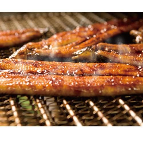 四万十うなぎ蒲焼き 5本【四万十うなぎ蒲焼真空パック（1本あたり約110g) ×5、ミニたれ (15ml) × 5】《冷凍・クール便》_1