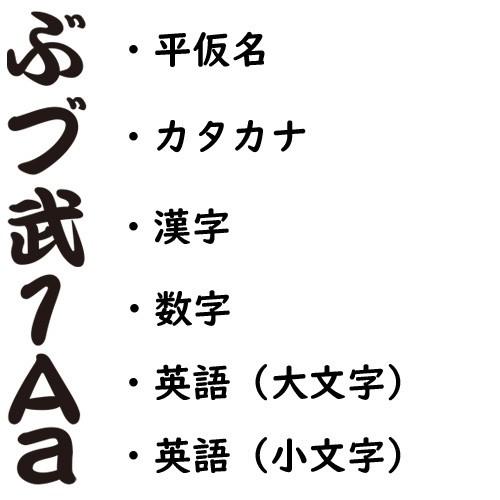 名入れ 武道家 クッション 両面プリント 漢字・ひらがな等1文字
