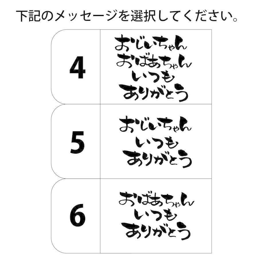 敬老の日 オリジナル マグカップ 写真 メッセージ入母の日 祖父母 家族 孫 ペット 名入れ 父の日 母の日 還暦 プレゼント Or Mug 52 森山印刷所 通販 Yahoo ショッピング
