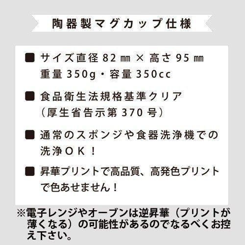 写真入 オリジナル 四季 マグカップ 敬老 メッセージ入母の日 祖父母 家族 孫 ペット 名入れ  クリスマス 父の日 母の日 還暦 プレゼント｜moriyama-print｜09