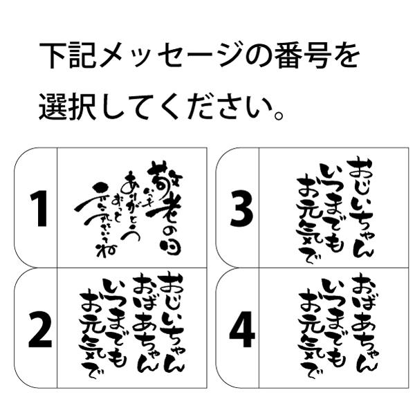 敬老 写真入 オリジナル マグカップ メッセージ入母の日 祖父母 家族