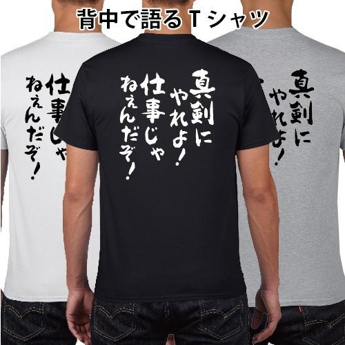 Pr Ts 257画像ページ