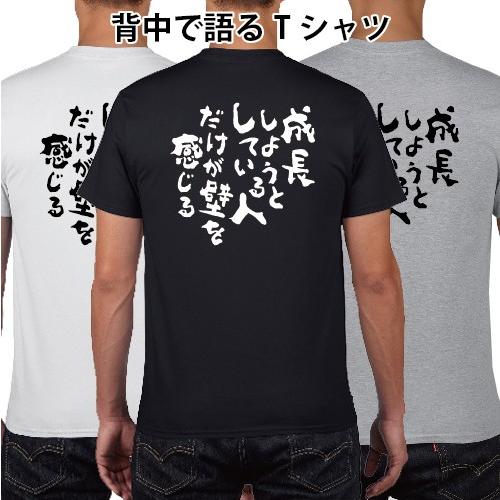 成長しようとしている人だけが壁を感じる Tシャツ 漢字 メッセージ おもしろ パロディ オリジナルTシャツ 150 160 WM WL S M L XL XXL XXXL｜moriyama-print