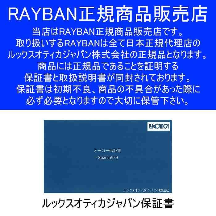 RAYBAN レイバン ERIKA METAL 002/80 54 RB3539 サングラス レイバンサングラス おしゃれ｜moriyamasports｜08