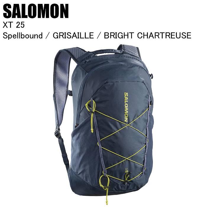 SALOMON（サロモン） XT 25 SPELLBOUND/GRISAILLE LC2857700 バック