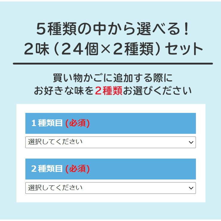 R1 R-1 ヨーグルト 明治 プロビオ 112g 健康 効能 乳酸菌 6種類から 選べる 2味 （ 48個 セット )｜moriyamilk｜02