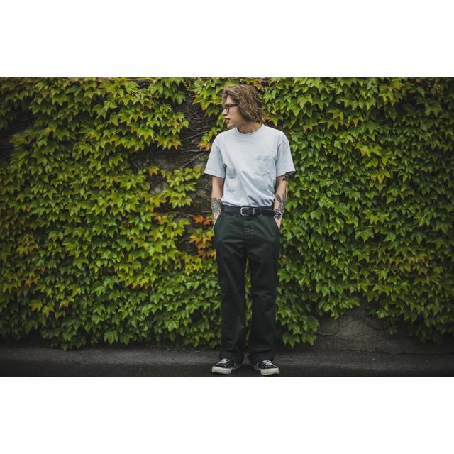 TCBジーンズ Stay Gold Chino/ Tree Green &Trunk Brown : モーリー