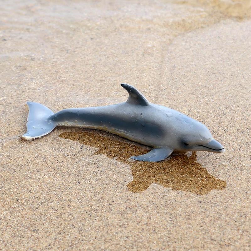 海洋動物 イルカモデル 海底動物 イルカ プラスチック 幼児 玩具 装飾|アクションフィギュア|｜moro-shop｜05