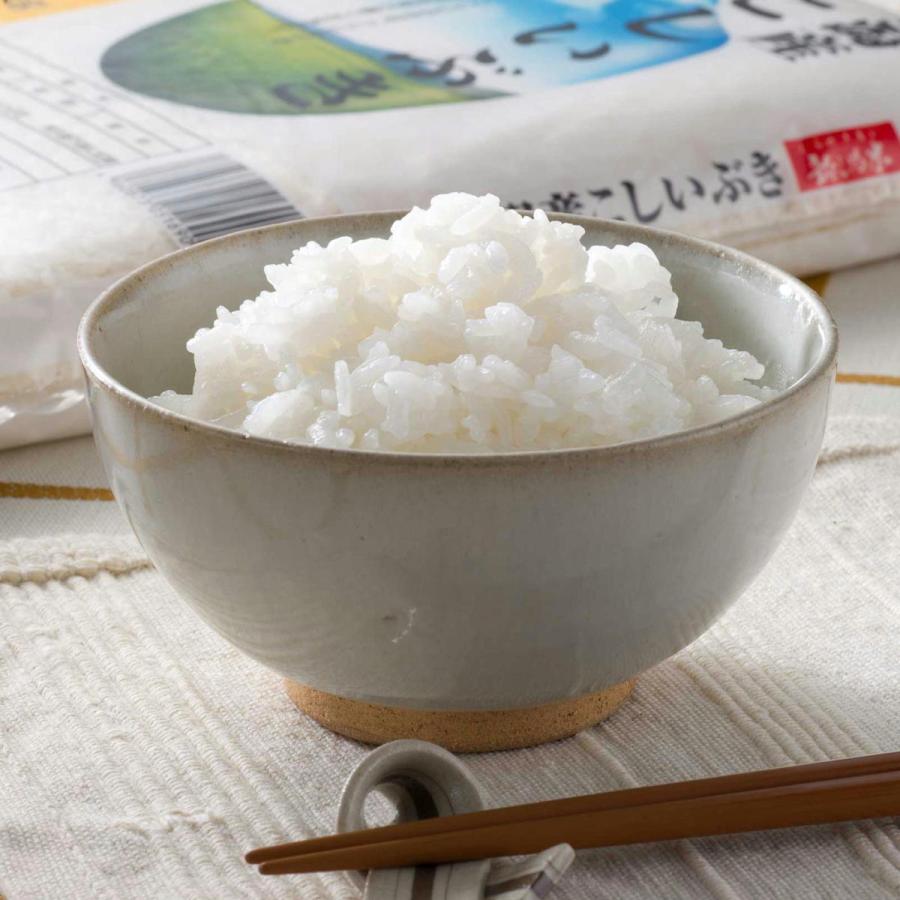 米 お米 20kg こしいぶき 新潟産 5kg×4袋 本州送料無料 令和4年産 