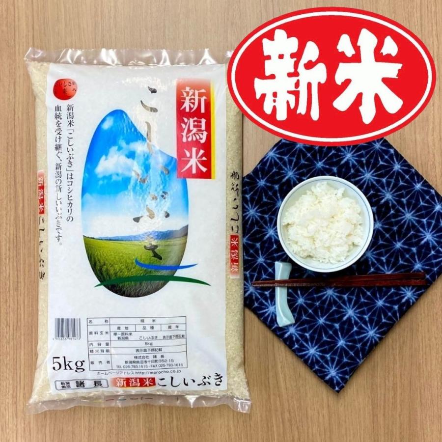 期間限定特別価格 米 お米 5kg セール 新潟産 こしいぶき 令和3年産 本州送料無料 Materialworldblog Com