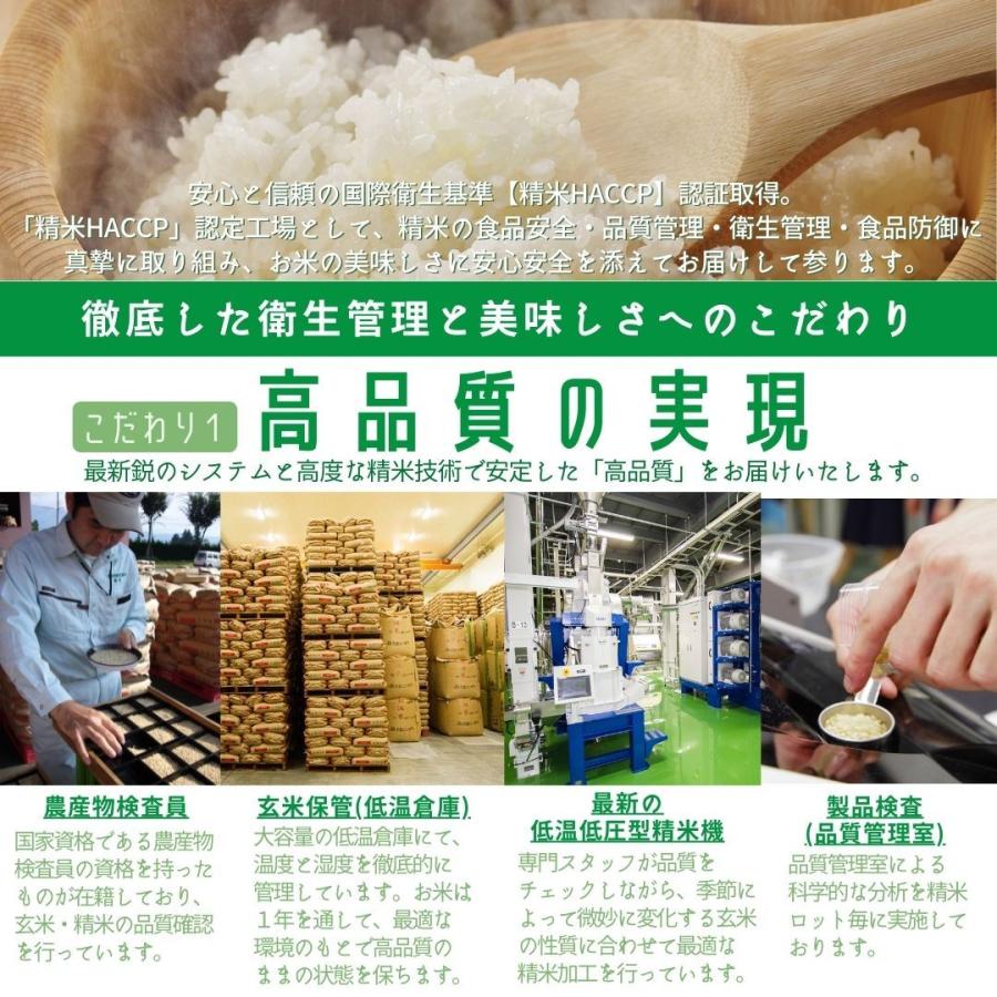 もち米 餅 米 お米 5kg 新潟県産 こがねもち 本州送料無料 令和5年産｜morochorice｜05