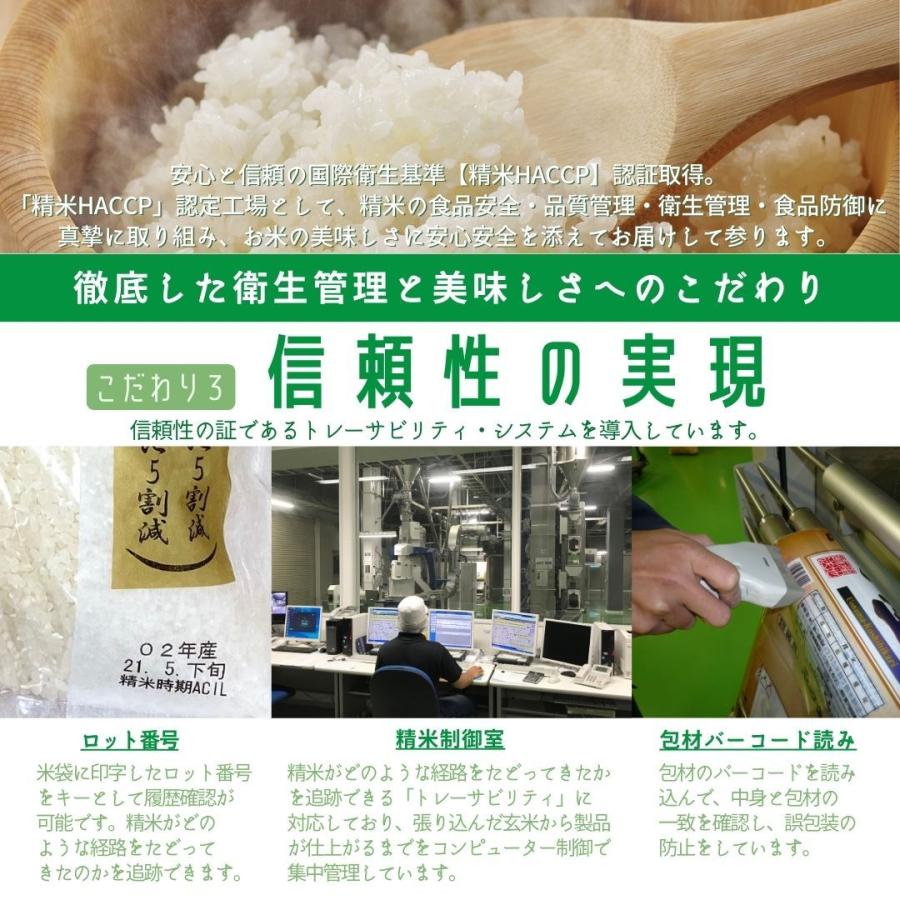 もち米 餅 米 お米 5kg 新潟県産 こがねもち 本州送料無料 令和5年産｜morochorice｜07