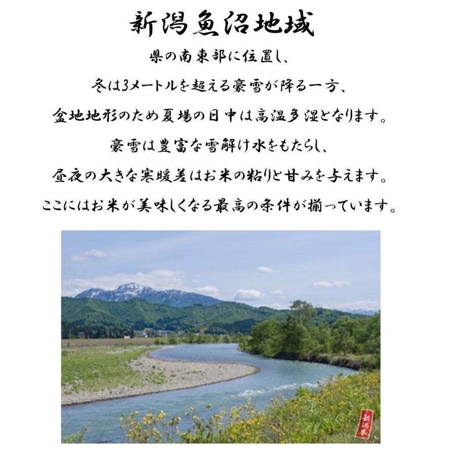 米 お米 10kg コシヒカリ こしひかり 魚沼産 蔵 5kg×2袋 本州送料無料 令和5年産｜morochorice｜04