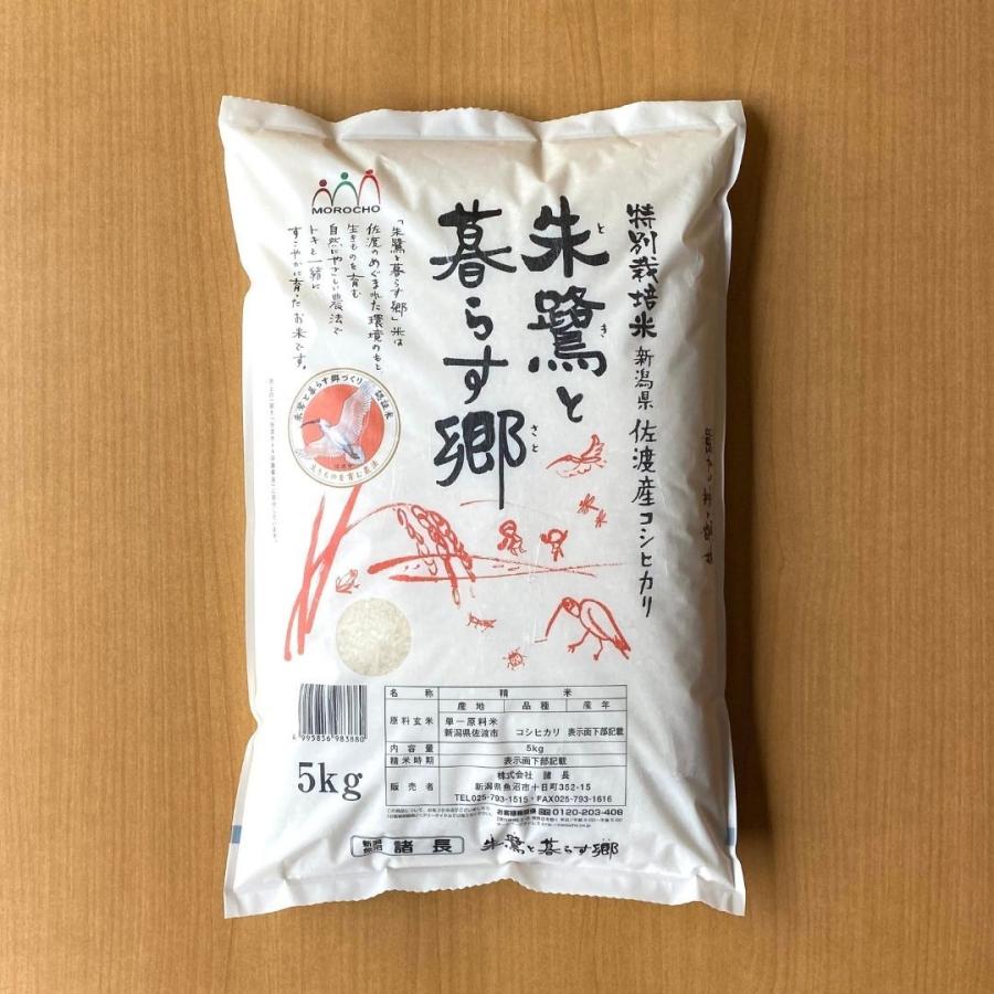 米 お米 5kg コシヒカリ こしひかり 佐渡産 特別栽培米 5kg 本州送料無料 令和5年産｜morochorice｜02