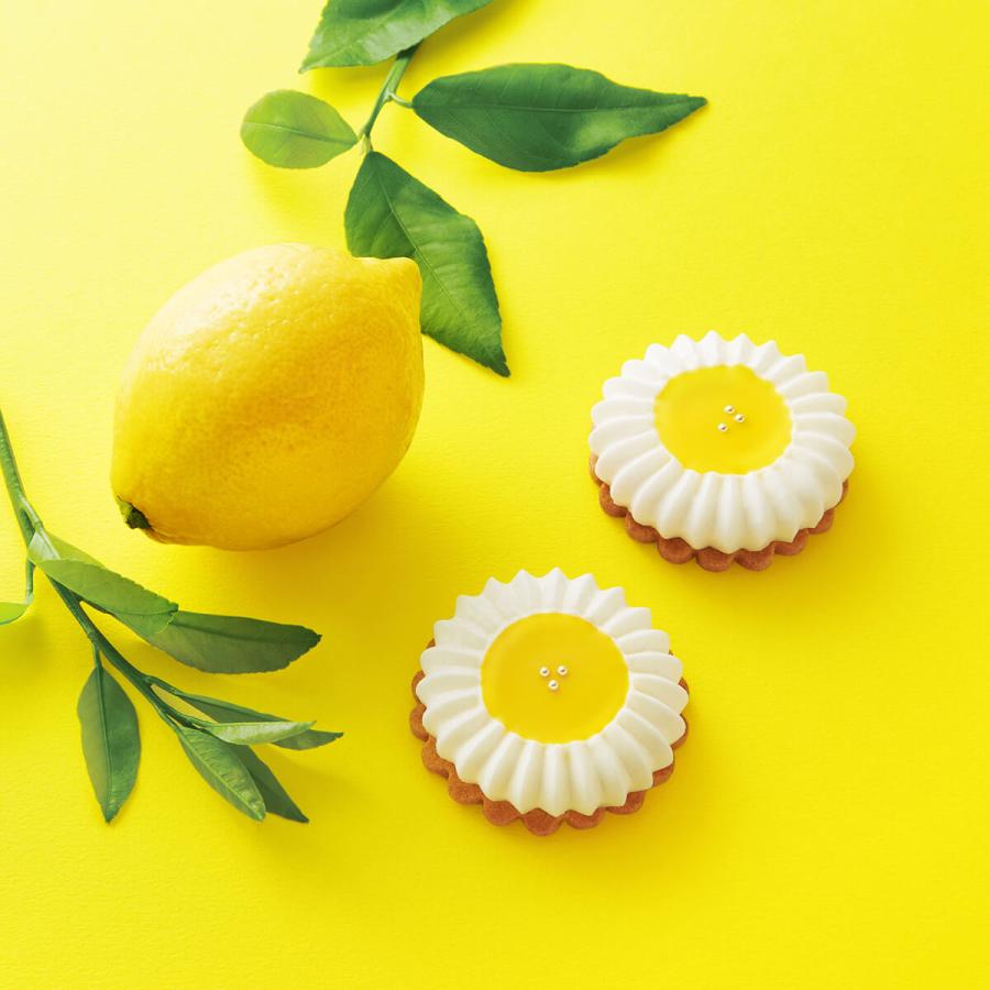 モロゾフ レモンフラワー＆イチゴフラワー 6個入 | モロゾフ | 02