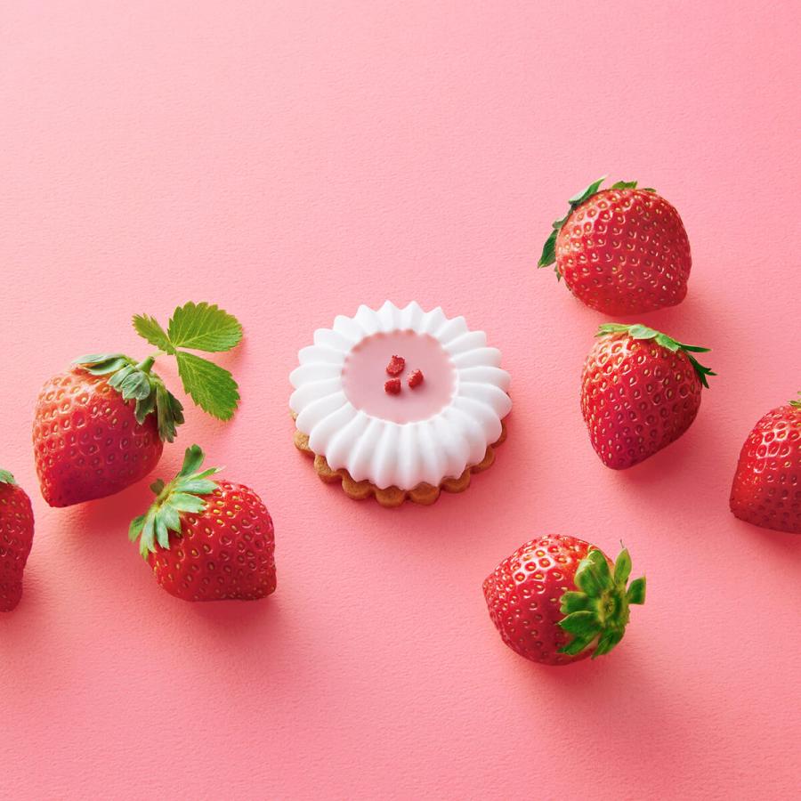 モロゾフ レモンフラワー＆イチゴフラワー 6個入 | モロゾフ | 03