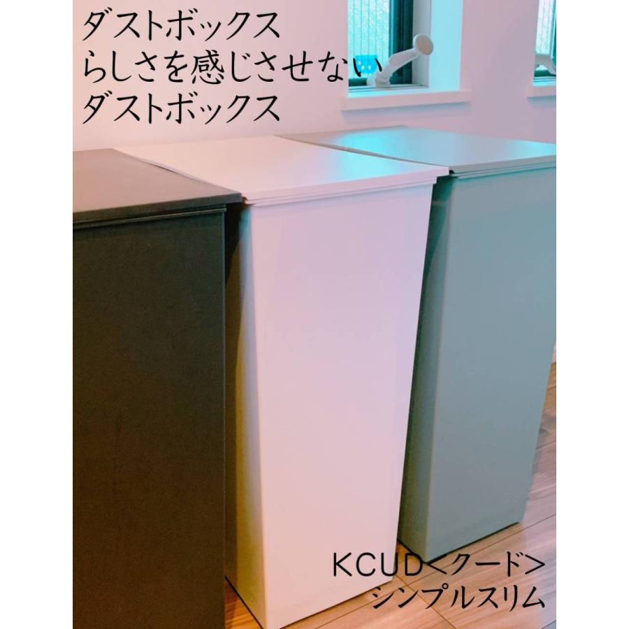 ゴミ箱 KCUD クード シンプルスリム 36L I'mD アイムディ キャスターつき 縦横付け替え可能 分別 インテリア リビング 岩谷マテリアル｜mos-mart｜13