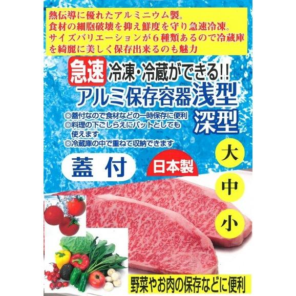 アルミ保存容器 蓋付 深型 小 谷口金属 急速冷凍冷蔵 日本製 下ごしらえ バット 重ねて収納 熱伝導が良い M 40989 Mos Mart 通販 Yahoo ショッピング