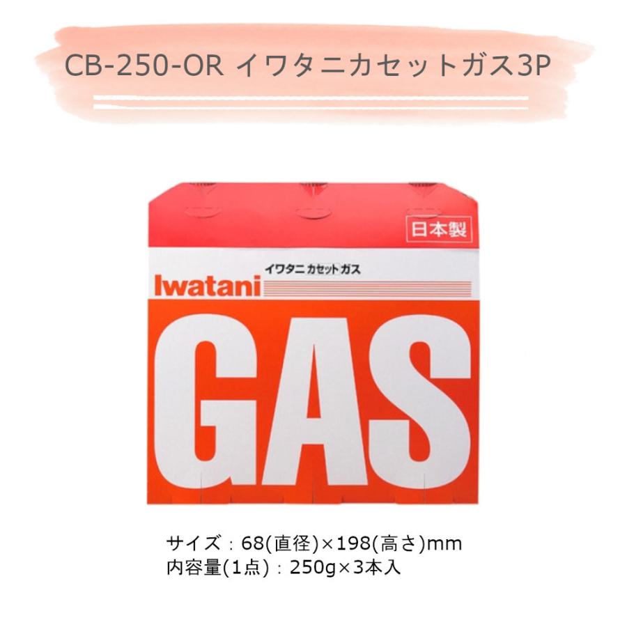 カセットフー エコプレミアム2 計3点セットTGK フォールディンググリルパン カセットガス3P 岩谷産業 グリルパン フライパン 小型グリル 鉄板 折りたたみ 柄｜mos-mart｜17