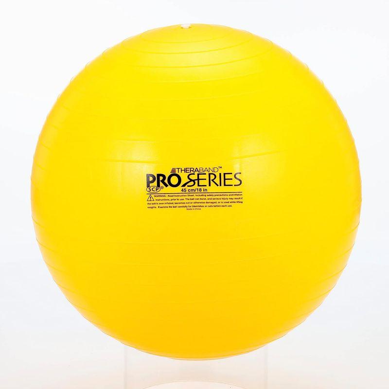 D&M ディーアンドエム セラバンド エクササイズボール バランス