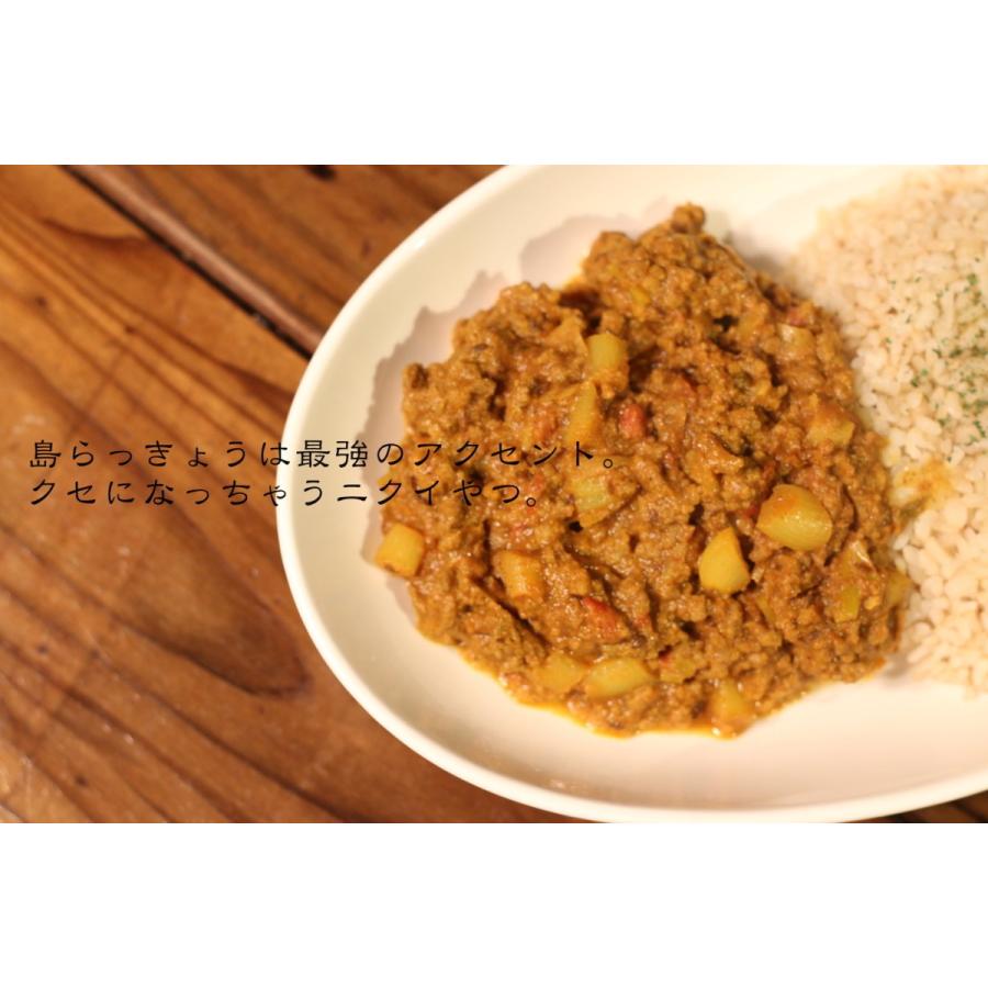 宮古島カレー   〜島らっきょうとひき肉のカレー　〜　250g（3食入り） |  | 01