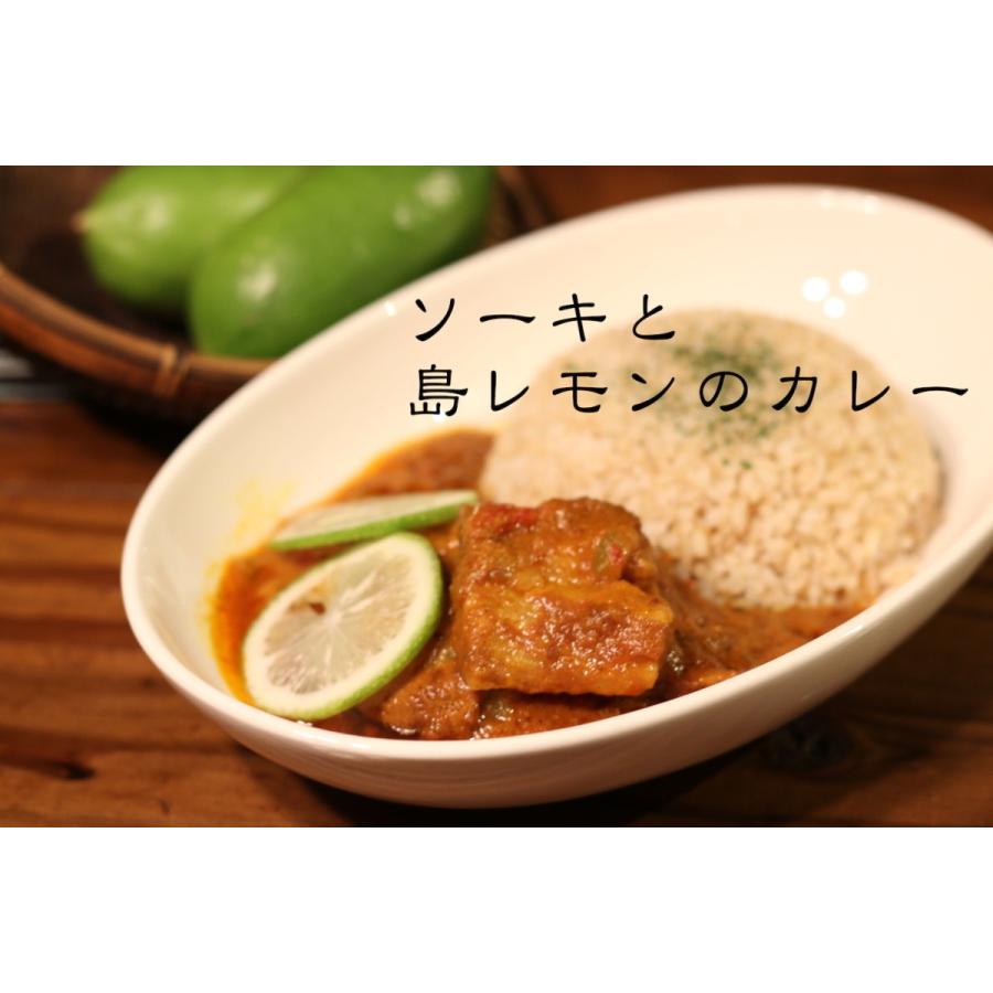 宮古島カレー　〜軟骨ソーキと島レモンのカレー  〜　250g（3食入り） | 