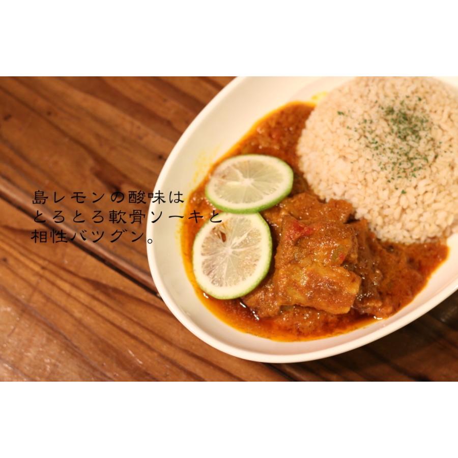 宮古島カレー　〜軟骨ソーキと島レモンのカレー  〜　250g（3食入り） |  | 01
