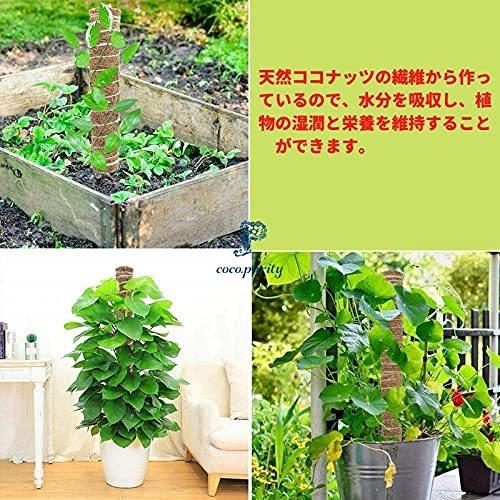 Coco Purity 園芸 支柱 おしゃれ 観葉植物 モンステラ つる性植物 30 驚きの価格が実現 ジョイント式 天然 ココナッツ 2 サポート