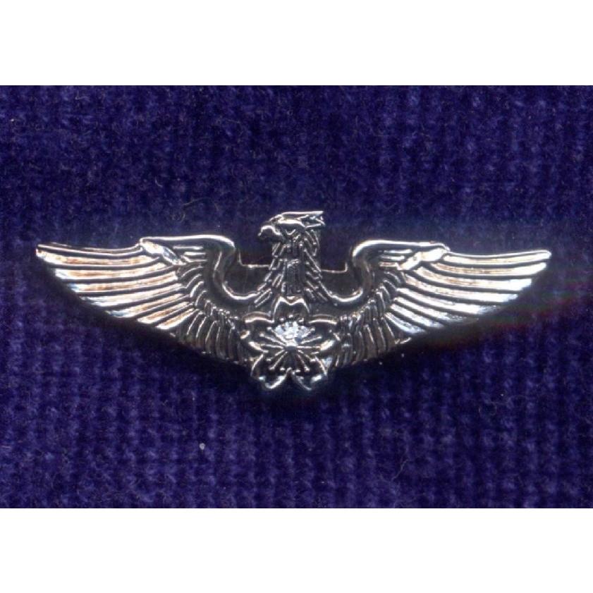 航空自衛隊 操縦士徽章 パイロットウイングマーク ミニタイプ Wm 002 Moスカイネット2 通販 Yahoo ショッピング