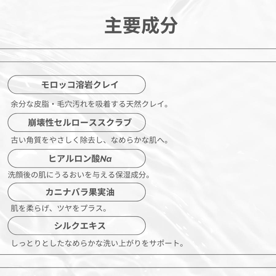 Kanebo（カネボウ） スクラビングマッドウォッシュ130g 洗顔料 2本