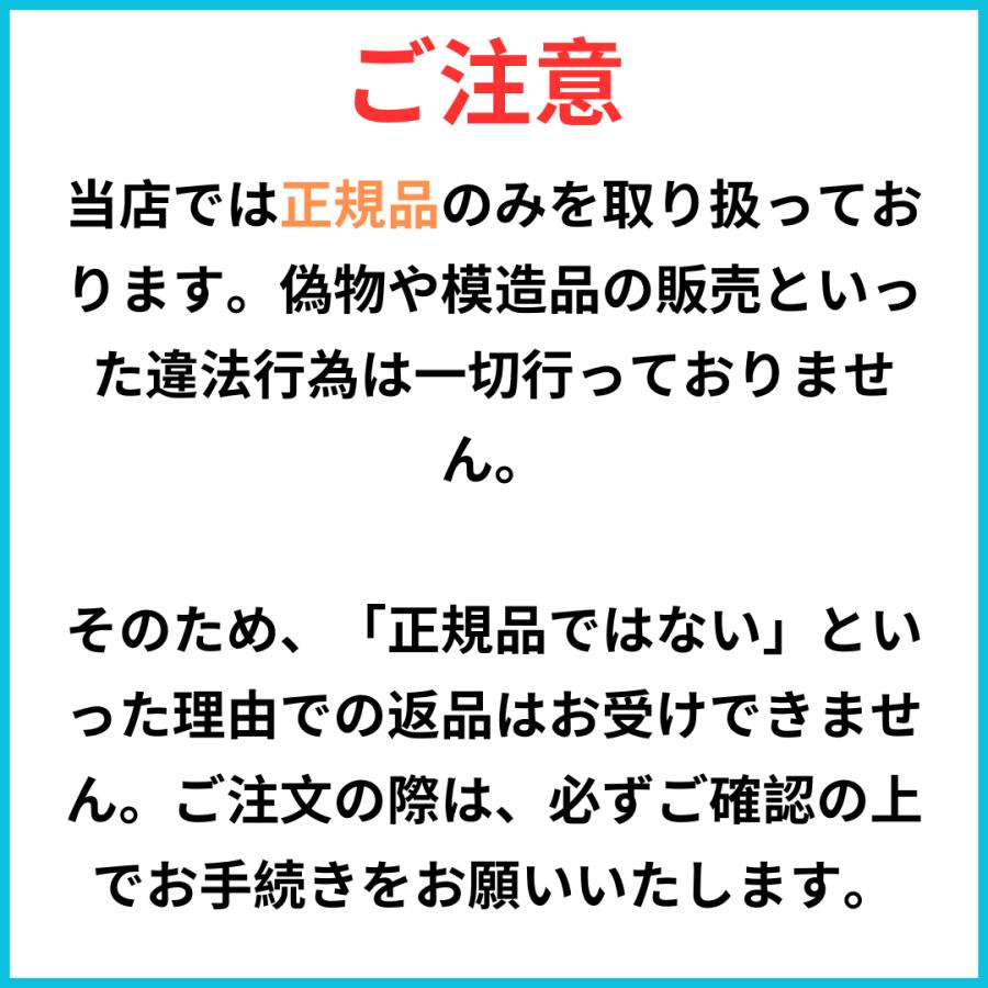 SPICARE V3 V3ファンデーション エキサイティング 正規品 本体