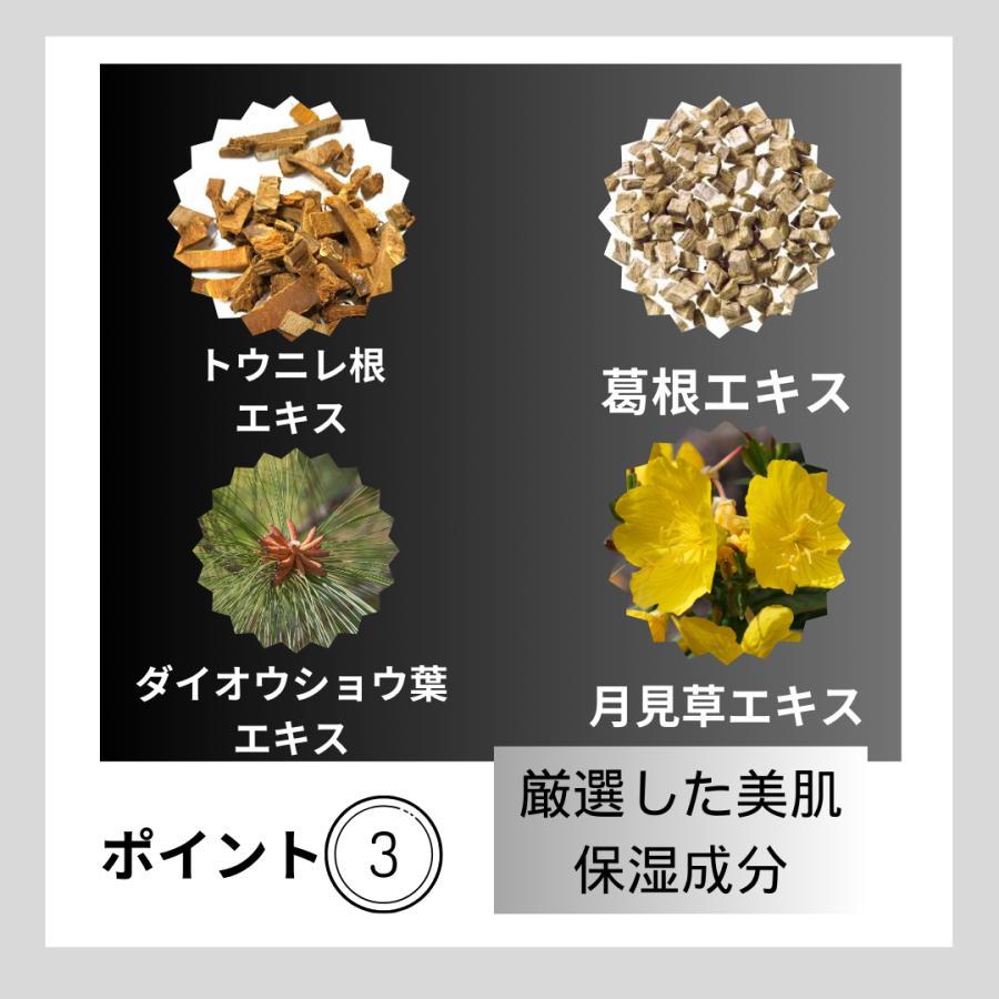 SPICARE V3 V3ファンデーション エキサイティング 正規品 本体