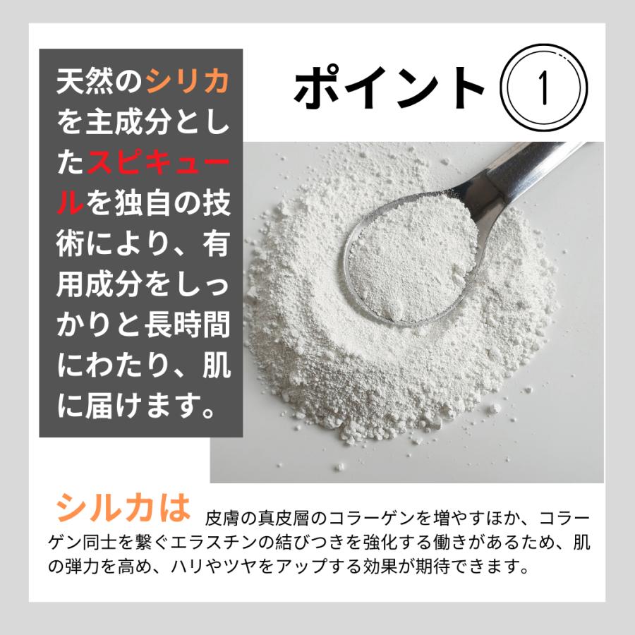 SPICARE V3 V3ファンデーション エキサイティング 正規品 リフィル