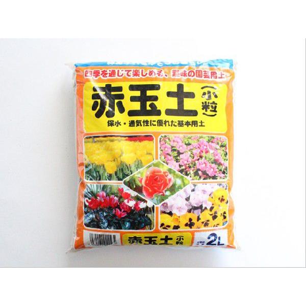 赤玉土 小粒 2ｌ Akatama 001 苔の販売専門店モスファーム 通販 Yahoo ショッピング
