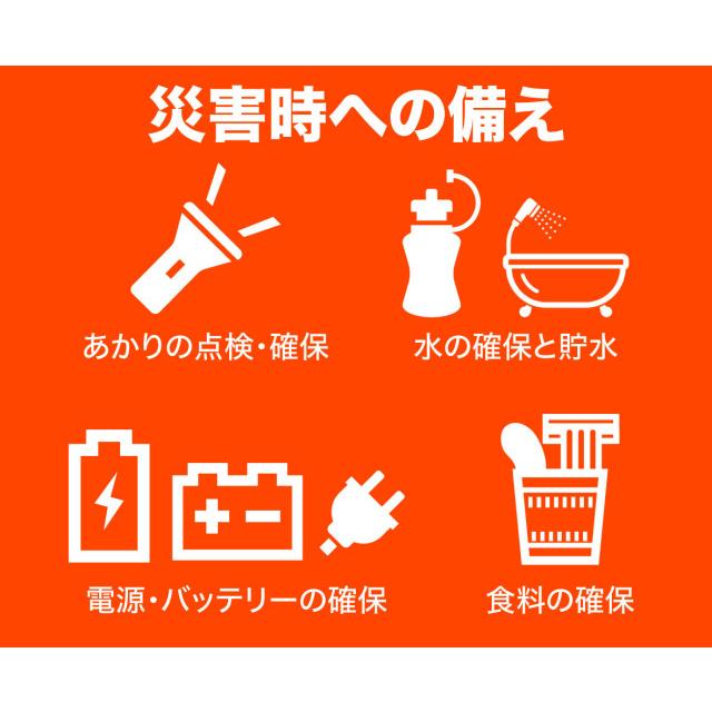 ダイニチ 10インチ テレビ搭載 ポータブル電源 バッテリー WITH パワーステーションTV〔PSTV-600〕| キャンプ 車中泊 アウトドア 災害 60000mAh