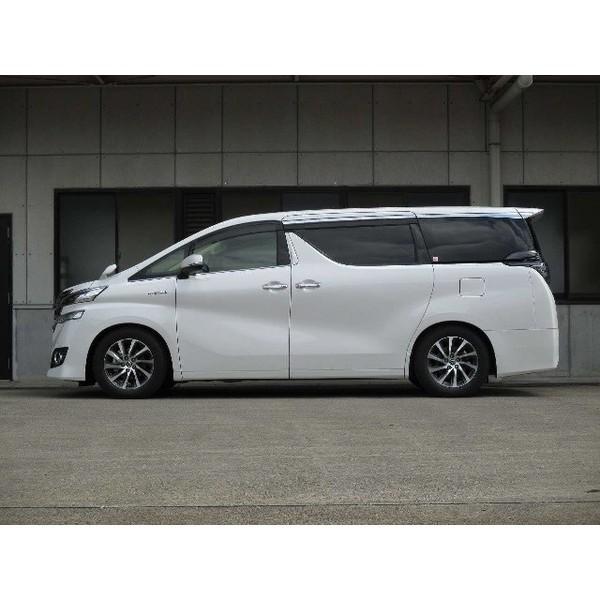 TANABE（タナベ） ローダウンスプリング SUSTEC NF210 TOYOTA ミニバン 