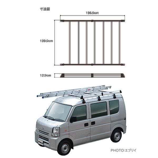 TERZO プロキャリア PRO CARRIER レインモール取付タイプ 軽自動車用 