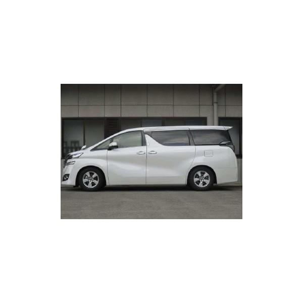 30アルファード前期 tanabe DF210 スプリング AGH30W用 pickup-special