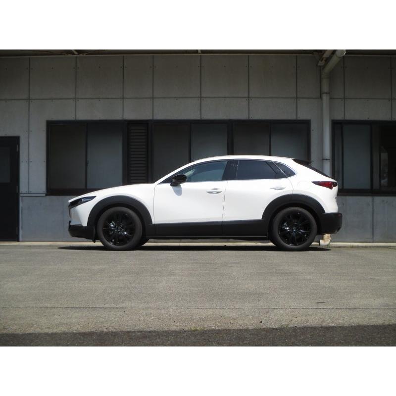 TANABE（タナベ） CX-30 ローダウンスプリング SUSTEC NF210 1台分