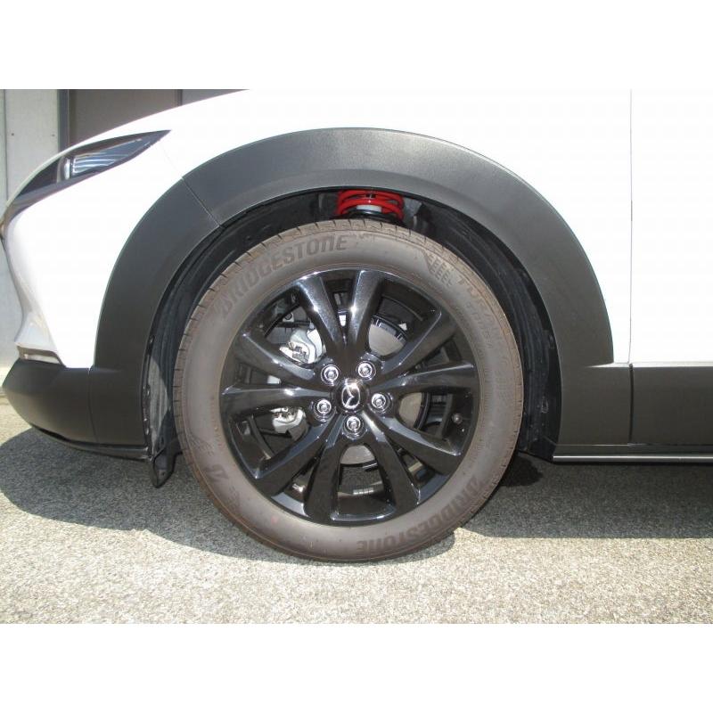 TANABE（タナベ） CX-30 ローダウンスプリング SUSTEC NF210 1台分