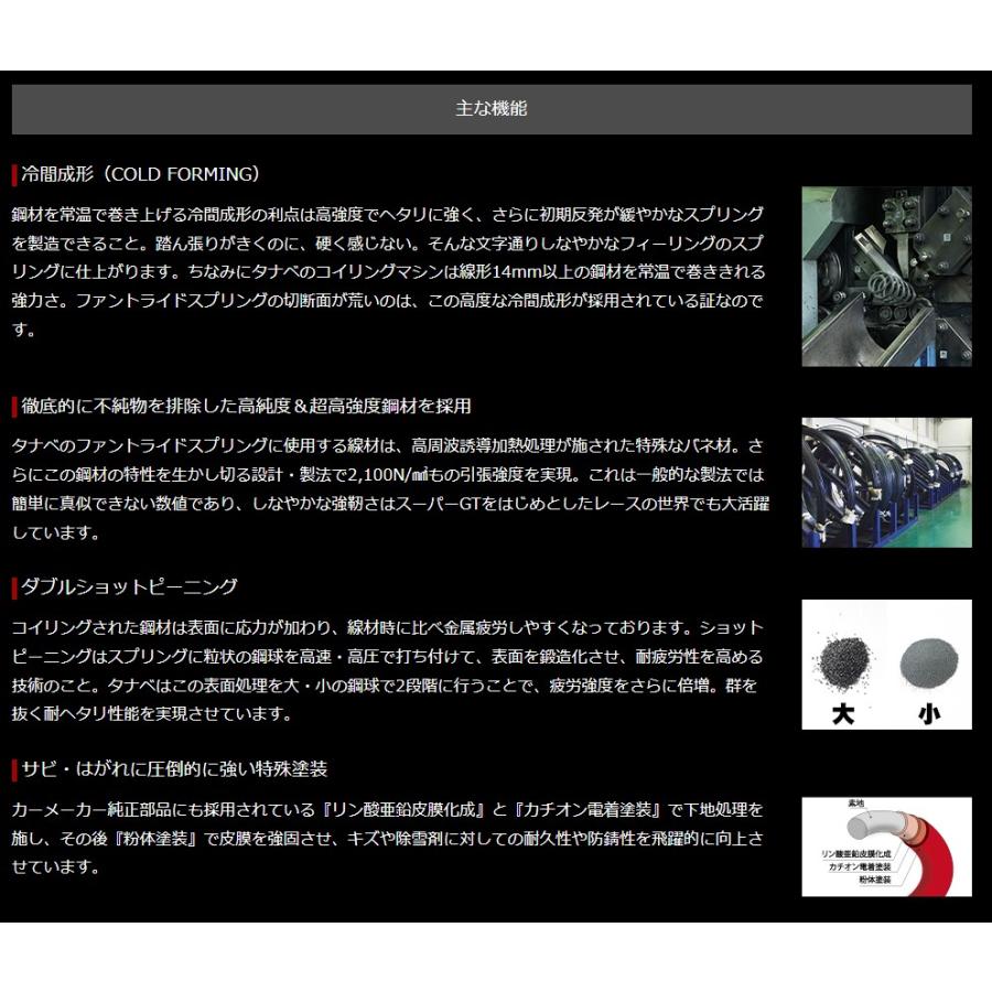 TANABE（タナベ） フィット GR3 GT FUNTORIDE スプリング 1台分