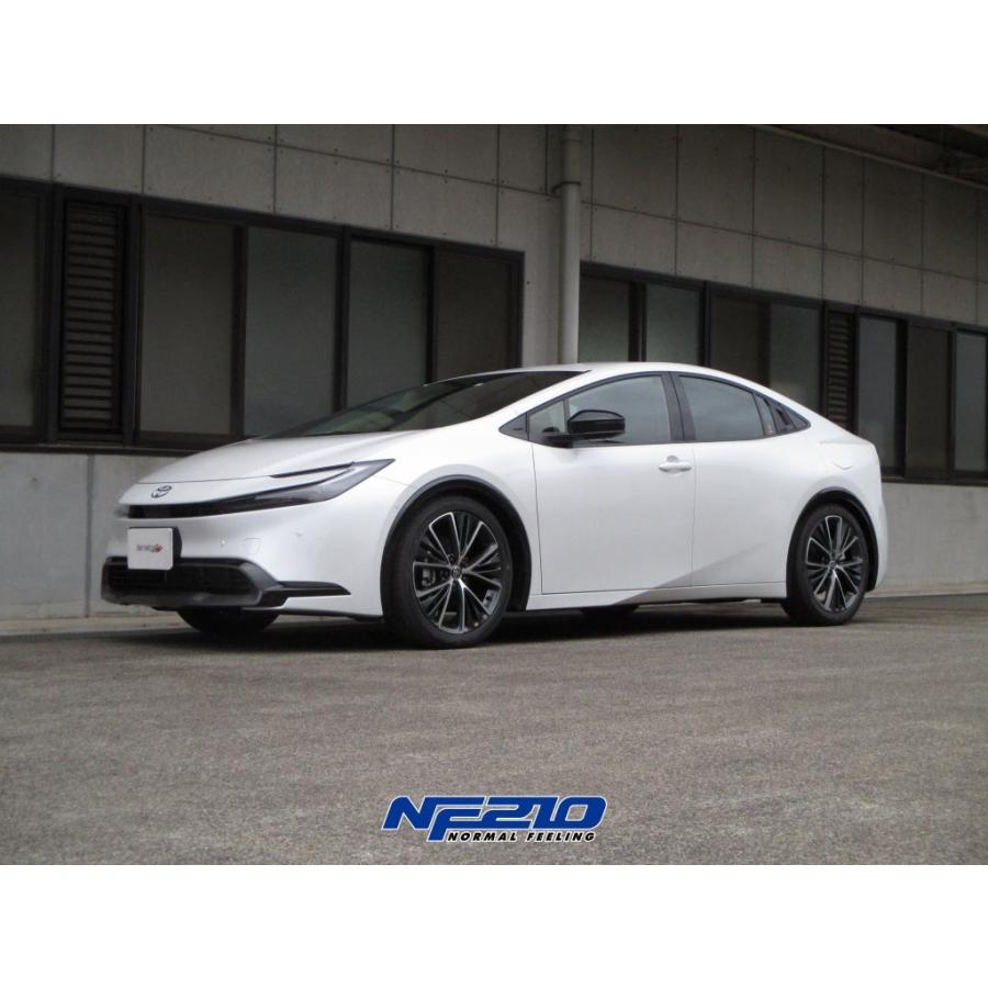 TANABE タナベ ローダウンスプリング SUSTEC NF210 1台分 TANABE タナベ ローダウンスプリング SUSTEC NF210 1台分