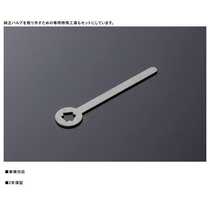 ヴァレンティ（VALENTI） ジュエルLED エクスチェンジバイカラーフォグ
