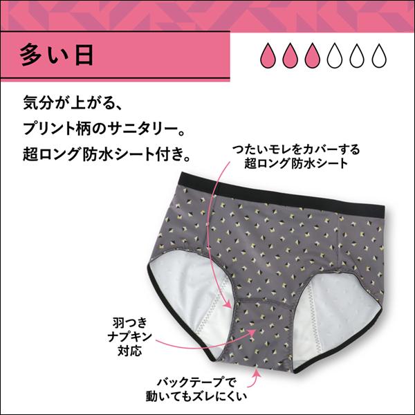 2色2枚ずつ 4枚セット 1week サニタリーショーツ 多い日 生理用