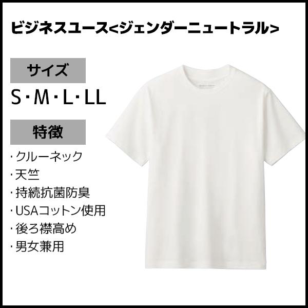 BODY WILD 同色3枚セット BODYWILD ボディワイルド ジェンダー 