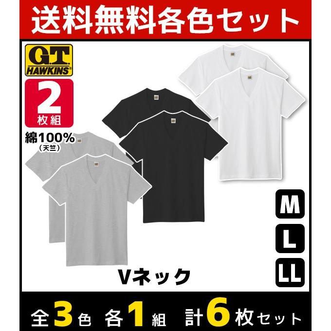 3色1組ずつ 3組セット 計6枚 G.T.HAWKINS ホーキンス VネックTシャツ 2枚組 グンゼ GUNZE HK10152-SET2