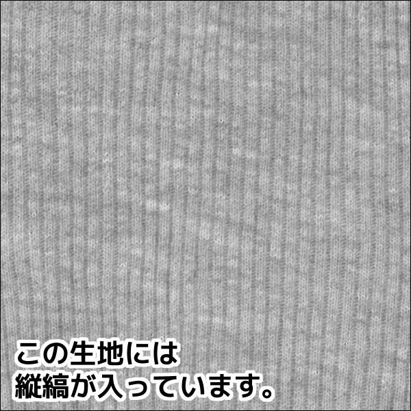 3色2枚ずつ 6枚セット G.T.HAWKINS ホーキンス ボクサーブリーフ 前あき グンゼ GUNZE 綿100% ボクサーパンツ HK1381C-SET2 | GUNZE | 02