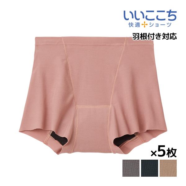 在庫一掃 5枚セット いいここち 快適ショーツ Hadaka Plus サニタリーショーツ Gunze 公式の Turningheadskennel Com